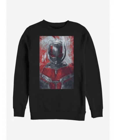 Marvel Avengers: Endgame Ant-Man Painted Sweatshirt $13.58 Sweatshirts